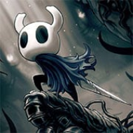Hollow Knight Online img