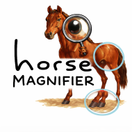 Horse Magnifier img